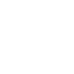 Vanguard Digital